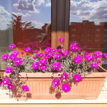 티볼리 테르메 L'Orchidea Di Ale B&B 외부 사진