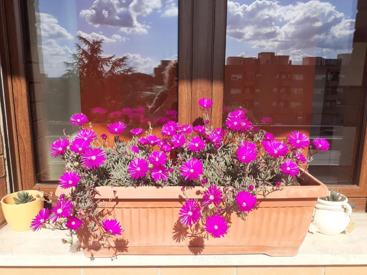 티볼리 테르메 L'Orchidea Di Ale B&B 외부 사진