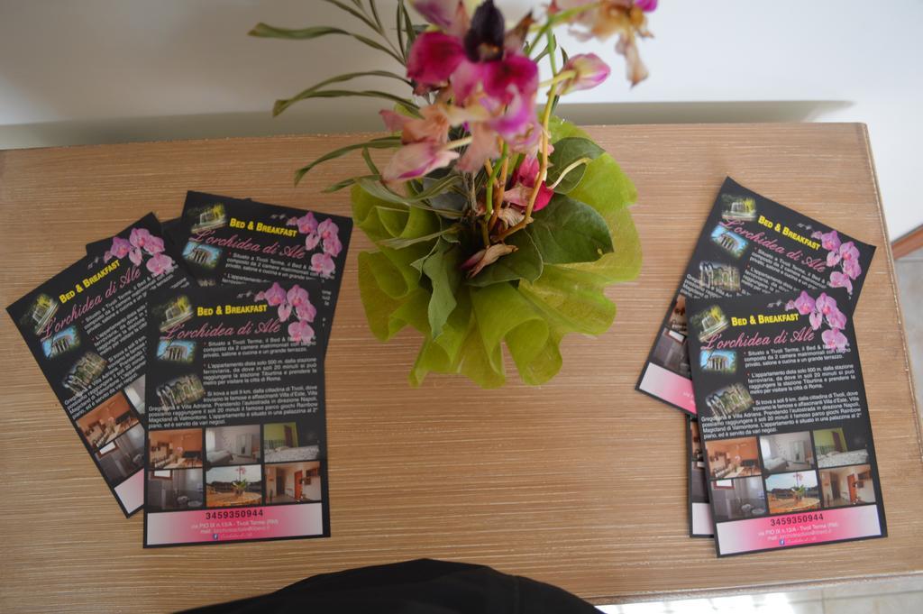 티볼리 테르메 L'Orchidea Di Ale B&B 외부 사진
