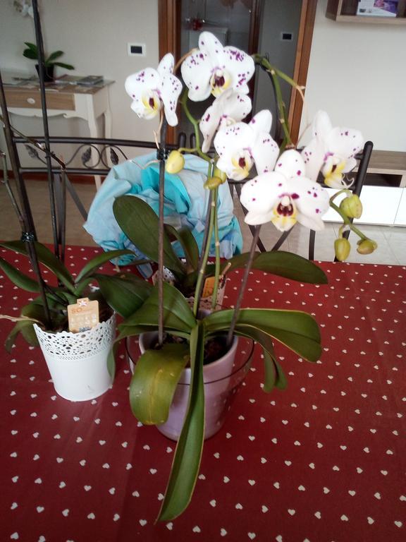 티볼리 테르메 L'Orchidea Di Ale B&B 외부 사진