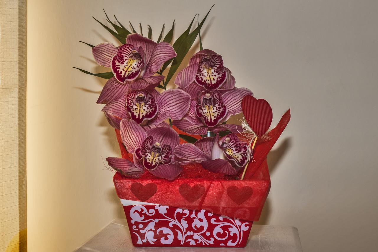 티볼리 테르메 L'Orchidea Di Ale B&B 외부 사진